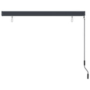 Anthracite gray outdoor roller blind 170x250 cm V5423 Vetonek