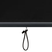 Anthracite gray outdoor roller blind 170x250 cm V5423 Vetonek