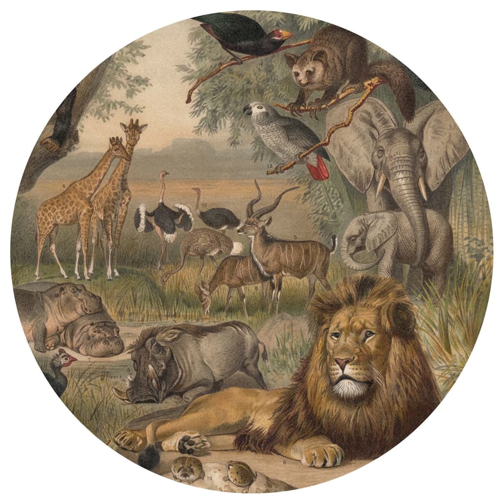 VicArt Papel pintado de pared redondo Animals of Africa 190 cm - Vetonek