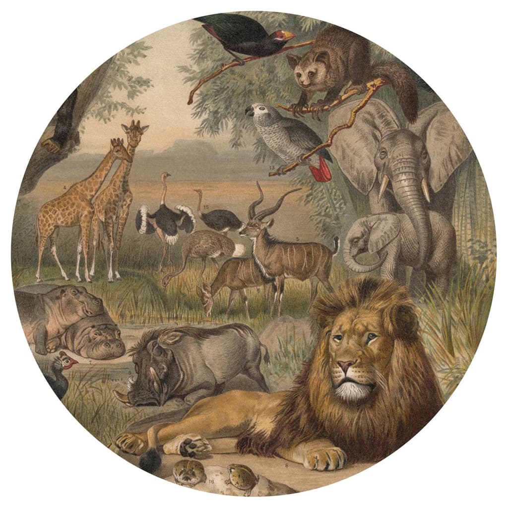 WallArt Papel pintado de pared redondo Animals of Africa 142,5 cm WallArt