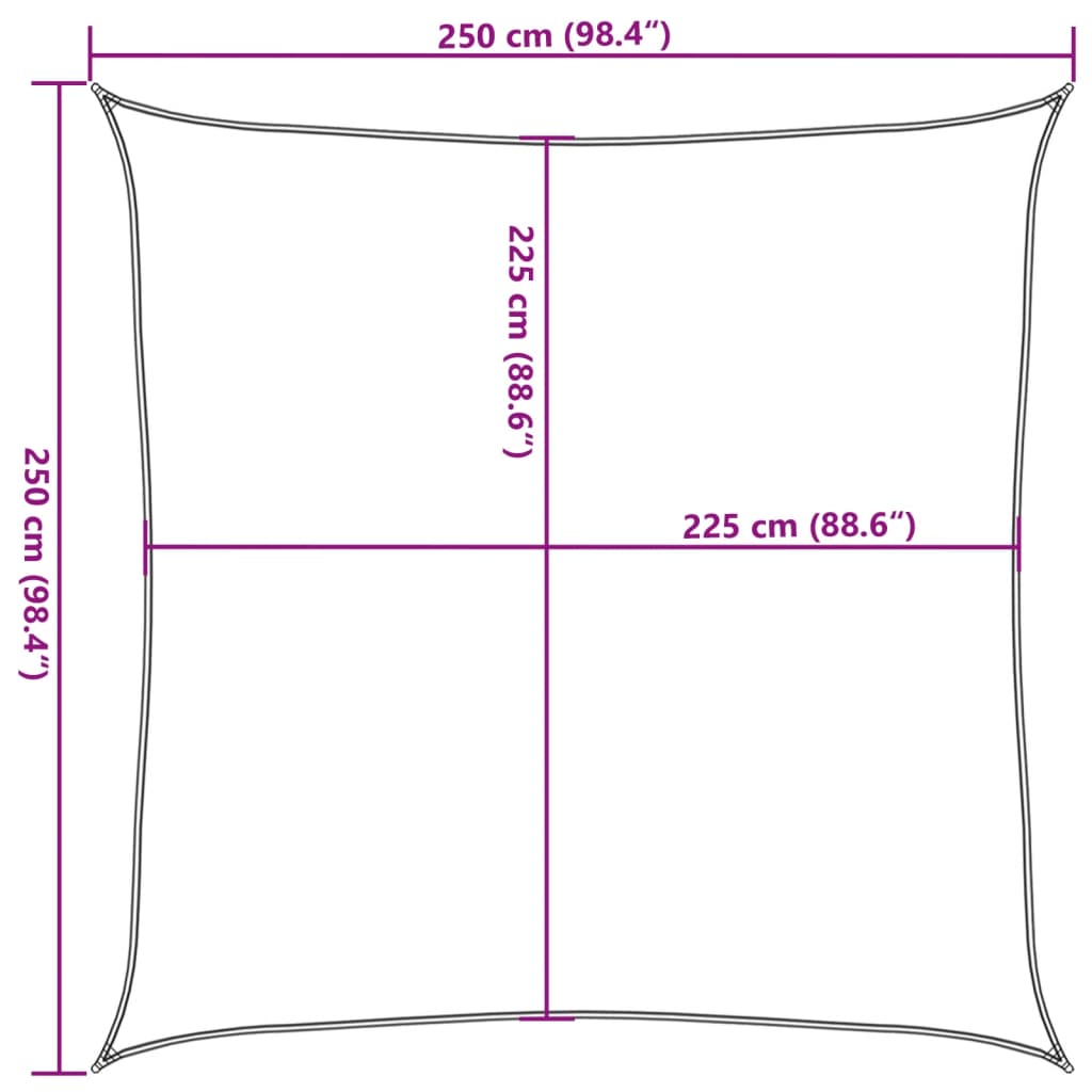 Auvent de bougie HDPE 160 g / m² 2,5x2,5 m