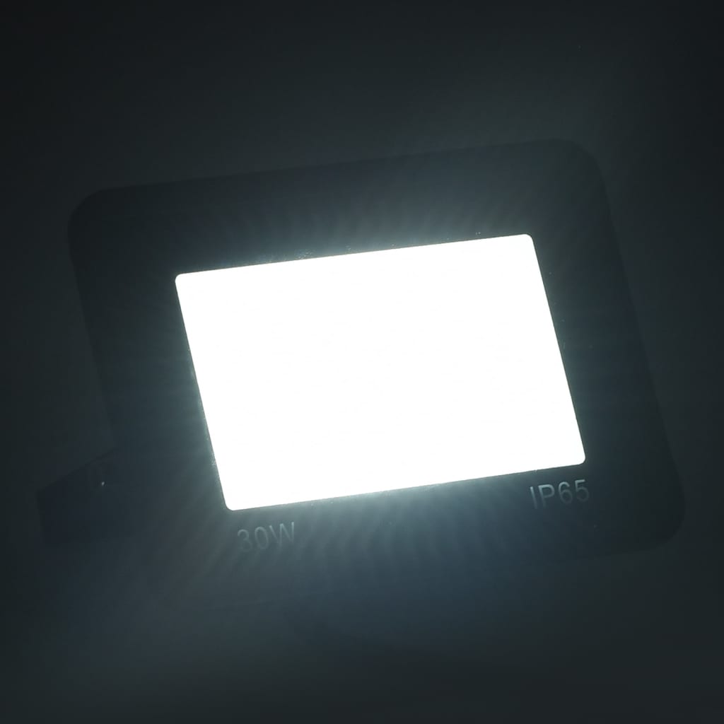 Foco LED 30 W blanco frío vidaXL