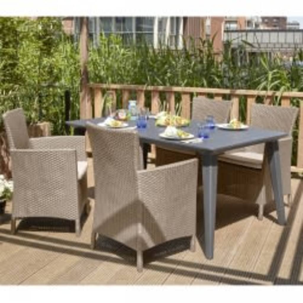 Allibert Silla de comedor de jardín 2 uds Iowa capuchino 215519