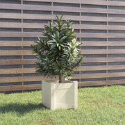 Jardinière en pin blanc massif 31x31x31 cm v3109 Vetonek