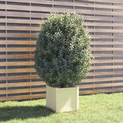 Jardinière en pin blanc massif 40x40x40 cm v3222 Vetonek