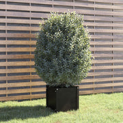 Jardinera de madera maciza de pino negro 40x40x40 cm v3284 Vetonek