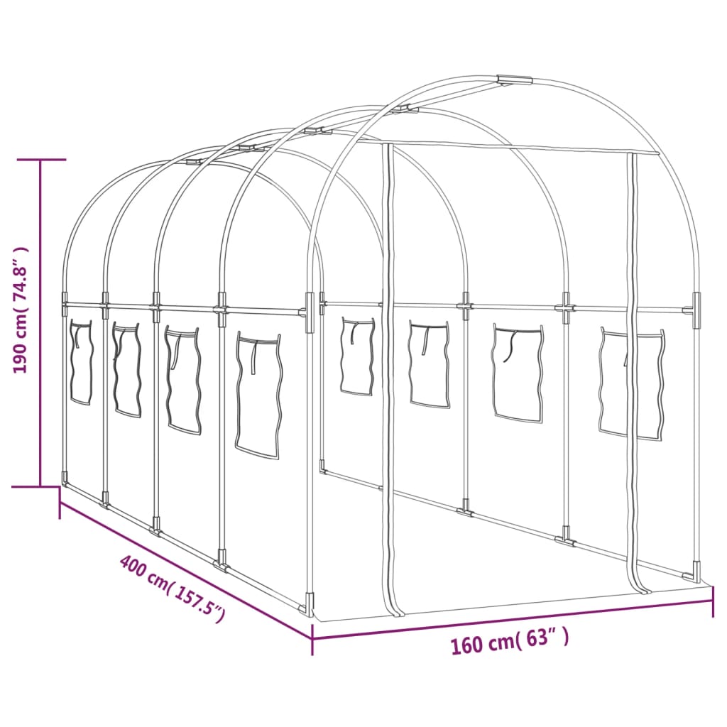 Invernadero PVC acero pintado polvo transparente 160x400x190cm vidaXL