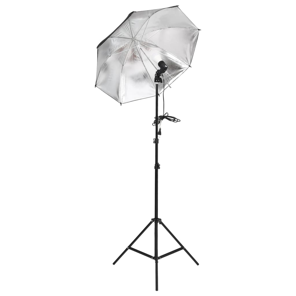 Photographic Study Kit mit Lichtsatz und V10 -Hintergrund