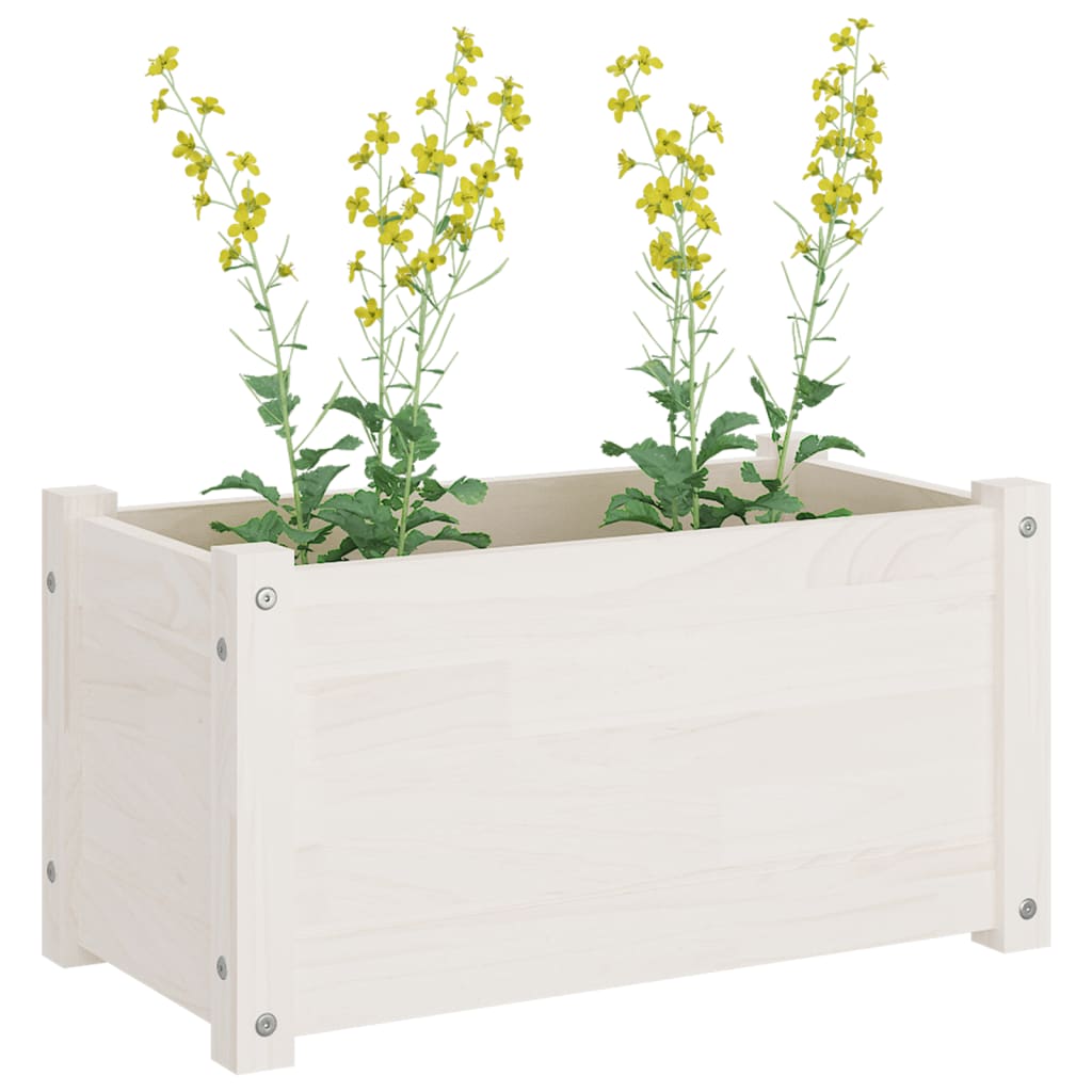 Jardineras 2 uds madera maciza de pino blanco 60x31x31 cm V4383 Vetonek