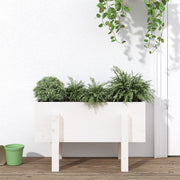 Jardinière en pin blanc massif 62x30x38 cm v9324 Vetonek