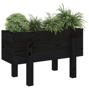 Jardinera madera maciza de pino negro 62x30x38 cm v9355 - Vetonek