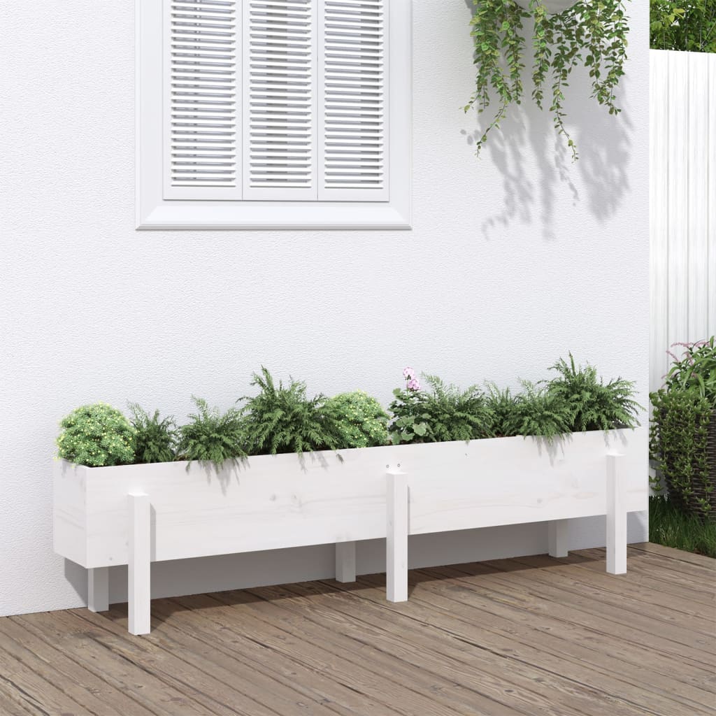Lit de jardin surélevé en bois de pin blanc massif 160x30x38cm v9447 Vetonek