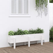 Lit de jardin surélevé en bois de pin blanc massif 121x30x38cm v9508 Vetonek