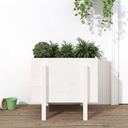 Jardinière en pin blanc massif 62x50x57 cm v9560 Vetonek