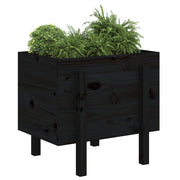 Jardinera de madera maciza de pino negro 62x50x57 cm v9591 - Vetonek