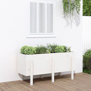 Lit de jardin surélevé en bois de pin blanc massif 121x50x57cm v9744 Vetonek