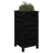 Jardinera madera maciza de pino negro 40x40x78 cm v0191 - Vetonek