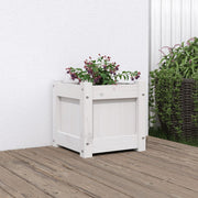 Jardinière en pin blanc massif 31x31x31 cm v9489 Vetonek