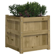 Jardinière en bois de pin massif imprégné 50x50x50 cm v9748 - Vetonek