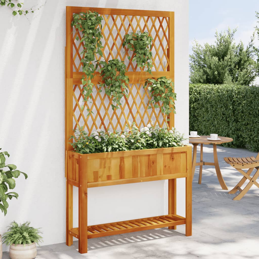 Jardinière avec treillis et étagère en acacia massif 100x32x185 cm v5619 Vetonek