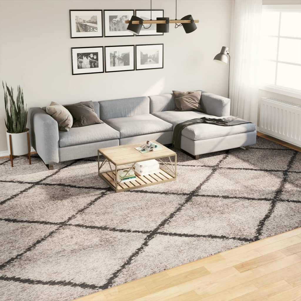 Vetonek Alfombra pelo largo moderna PAMPLONA beige antracita 200x280 cm