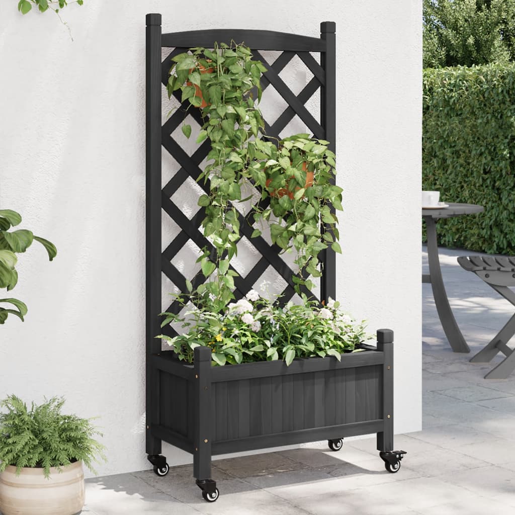 Jardinière avec treillis et roulettes en bois d'épicéa noir massif v1907 Vetonek