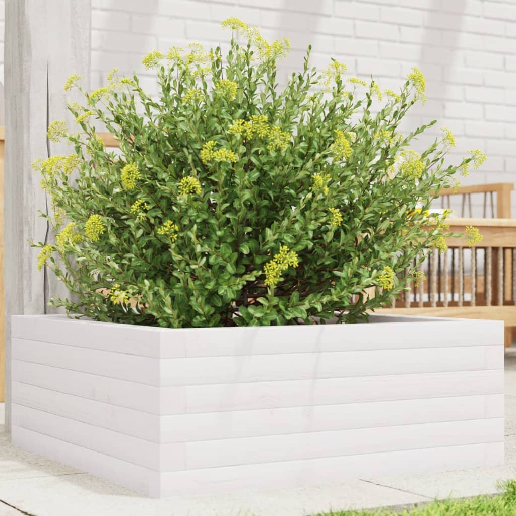 Jardinière en pin blanc massif 60x60x23 cm v9126 Vetonek