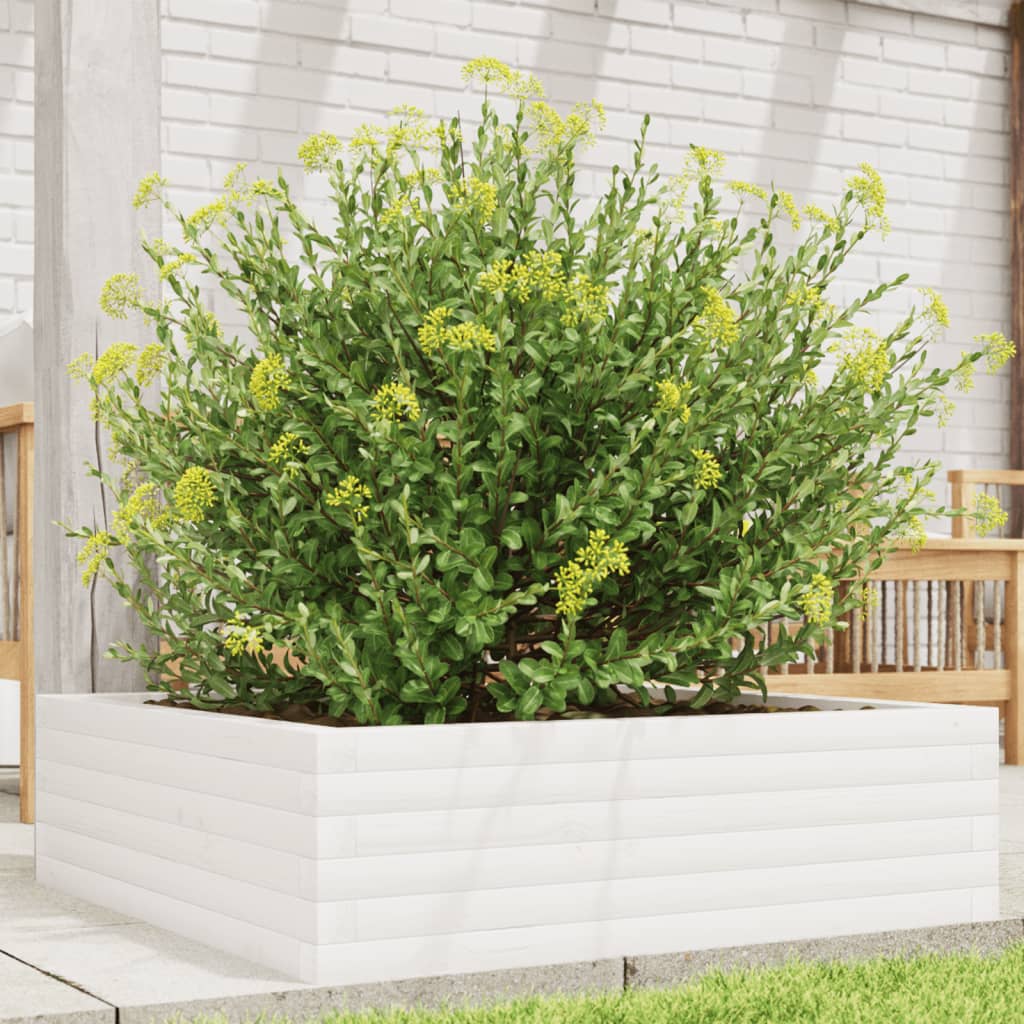 Jardinière en pin blanc massif 80x80x23 cm v9225 Vetonek