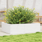 Jardinière en pin blanc massif 90x60x23 cm v9577 Vetonek