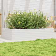 Jardinière en pin blanc massif 110x60x23 cm v9621 Vetonek
