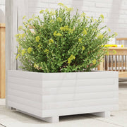 Jardinière en pin blanc massif 50x50x26,5 cm v0177 Vetonek