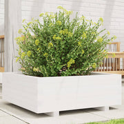 Jardinière en bois de pin blanc massif 70x70x26,5 cm v0276 Vetonek