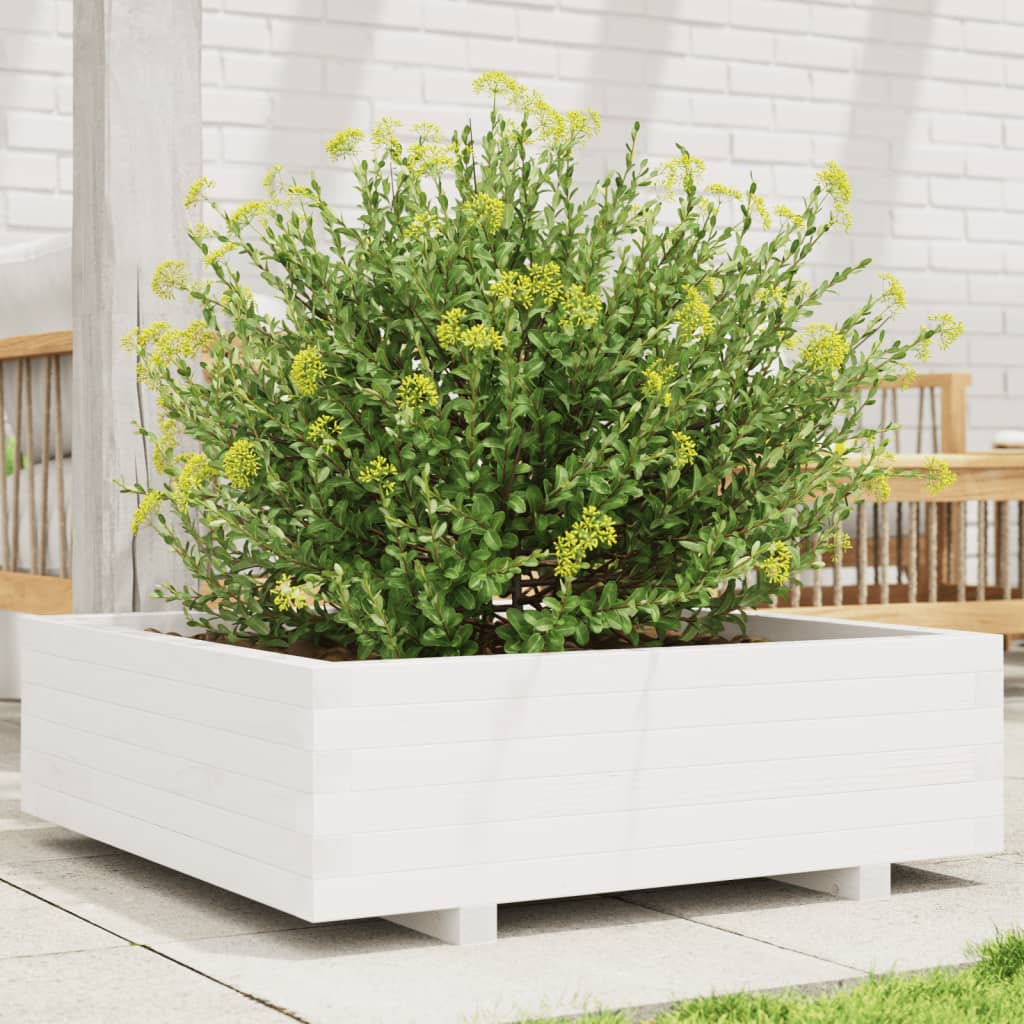 Jardinière en pin blanc massif 80x80x26,5 cm v0320 Vetonek