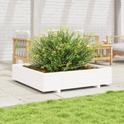 Jardinière en pin blanc massif 110x110x26,5 cm v0474 Vetonek