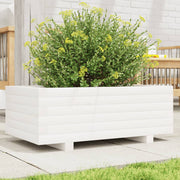 Jardinière en pin blanc massif 70x40x26,5 cm v0528 Vetonek