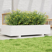 Jardinière en pin blanc massif 110x60x26,5 cm v0726 Vetonek