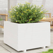 Jardinière en pin blanc massif 70x70x49,5 cm v0870 Vetonek