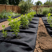 Membrana geotextil fibra de poliéster negro 1x10 m v5264 Vetonek