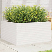 Jardinière en pin blanc massif 90x90x46 cm v5554 Vetonek
