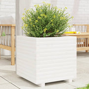 Jardinière en pin blanc massif 50x50x49,5 cm v6452 Vetonek