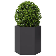 Jardineras hexagonales 2 uds acero negra 46x40x45 cm v5390 - Vetonek