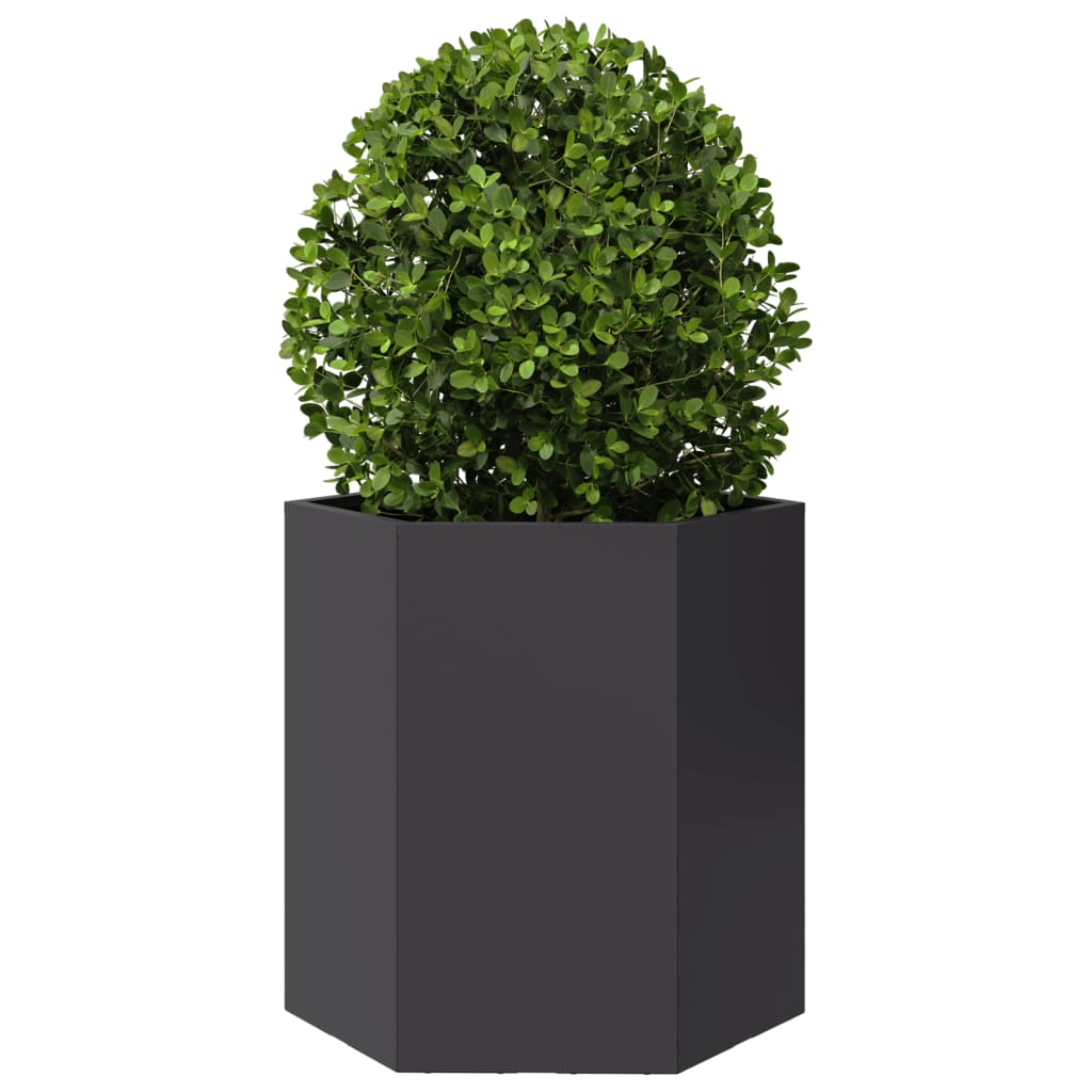Jardineras hexagonales 2 uds acero negra 46x40x45 cm v5390 - Vetonek