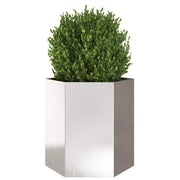 Jardineras hexagonales 2 uds acero inoxidable 46x40x45 cm - Vetonek