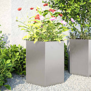 Jardineras hexagonales 2 uds acero inoxidable 46x40x45 cm v5475 Vetonek