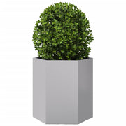Jardineras hexagonales 2 uds acero inoxidable 46x40x45 cm v5499 Vetonek