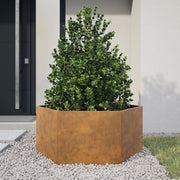 Vetonek Jardinera hexagonal 104x90x45 cm acero desgastado