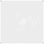 Vetonek Telo trasparente con occhielli in PVC 2x2 m