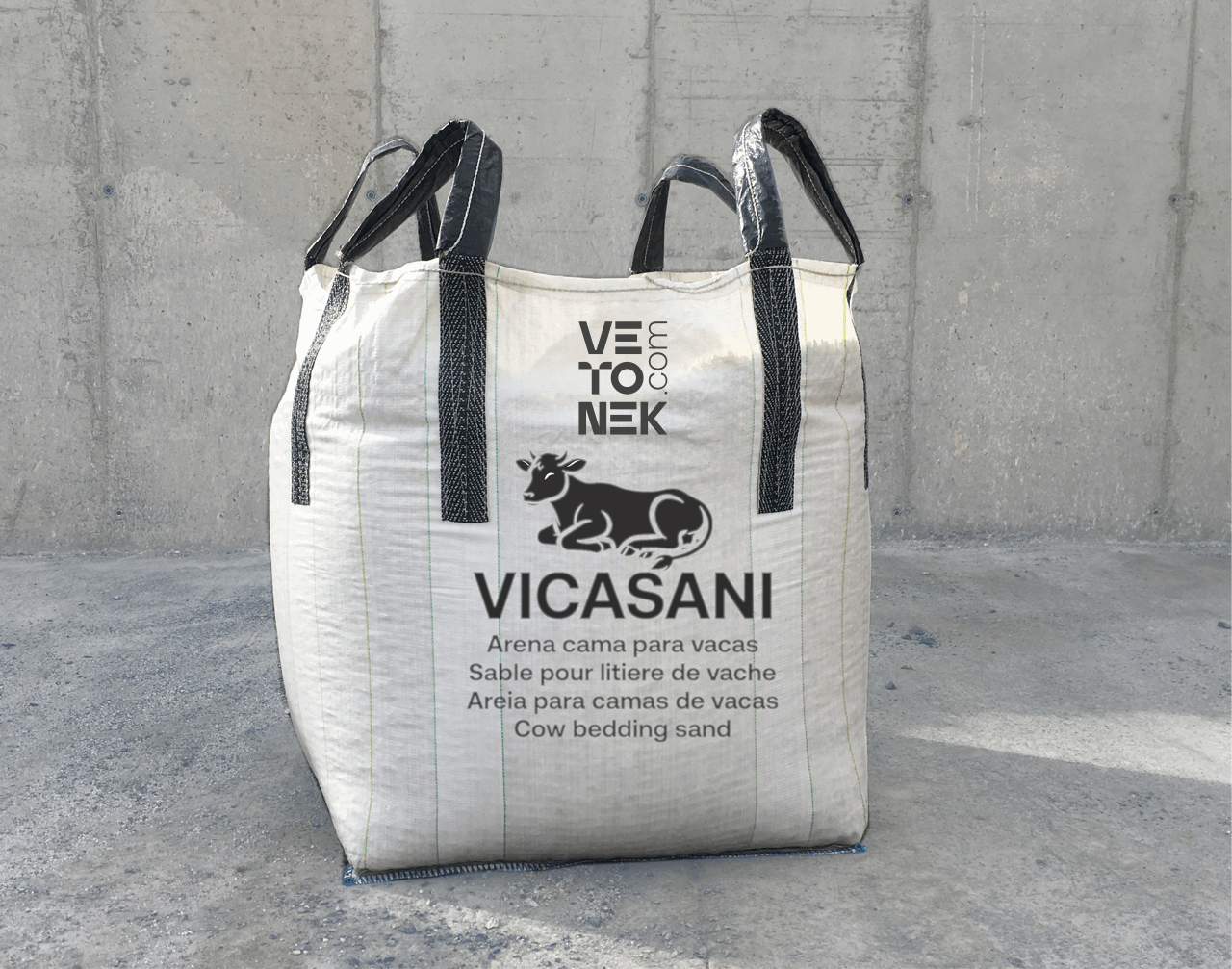 Vicasani cows bed sand