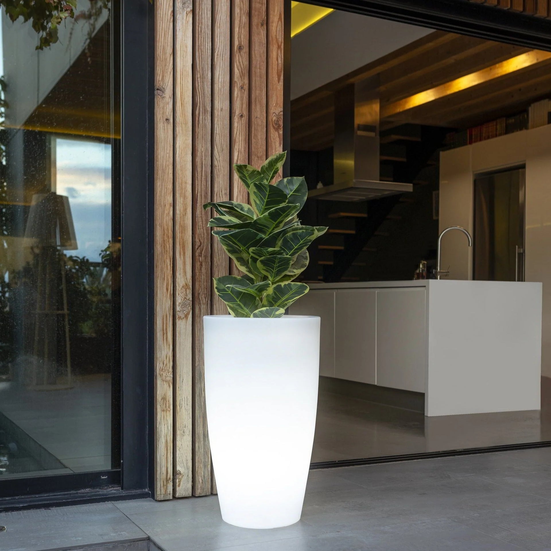 Macetero Bambú - Vetonek