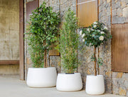 Jardineras Camelia - Vetonek